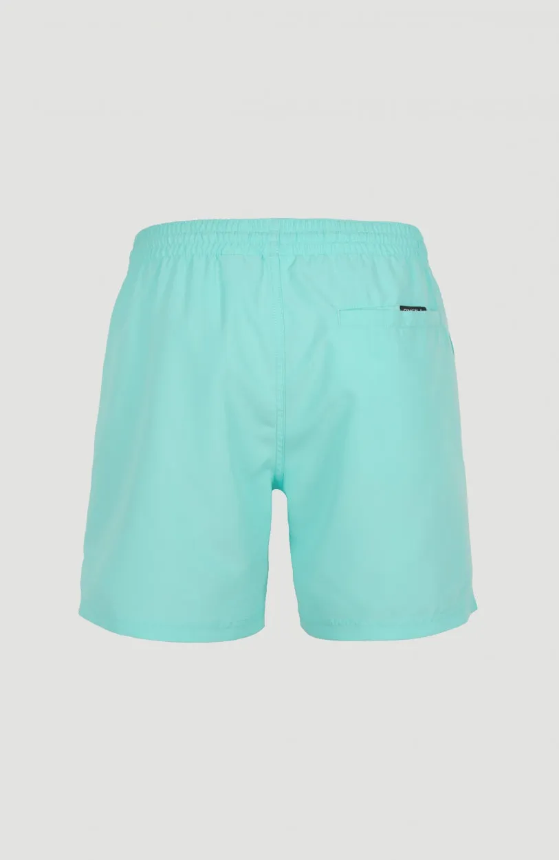 Cali Swim Shorts | Aqua Spalsh