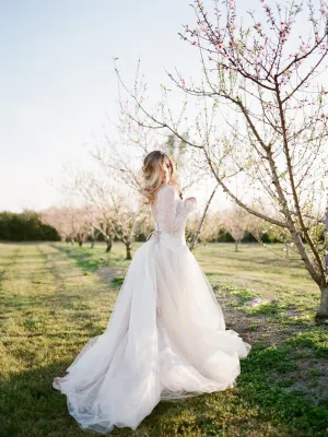 Classic Lace Top Tulle Ball Gown Long Sleeves Wedding Dresses,DB0154