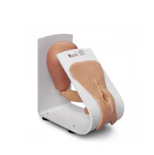 Female Catheterization Training Model