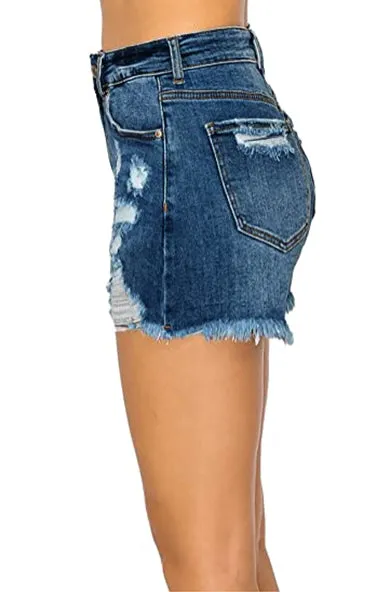 High Rise Frayed Denim Shorts