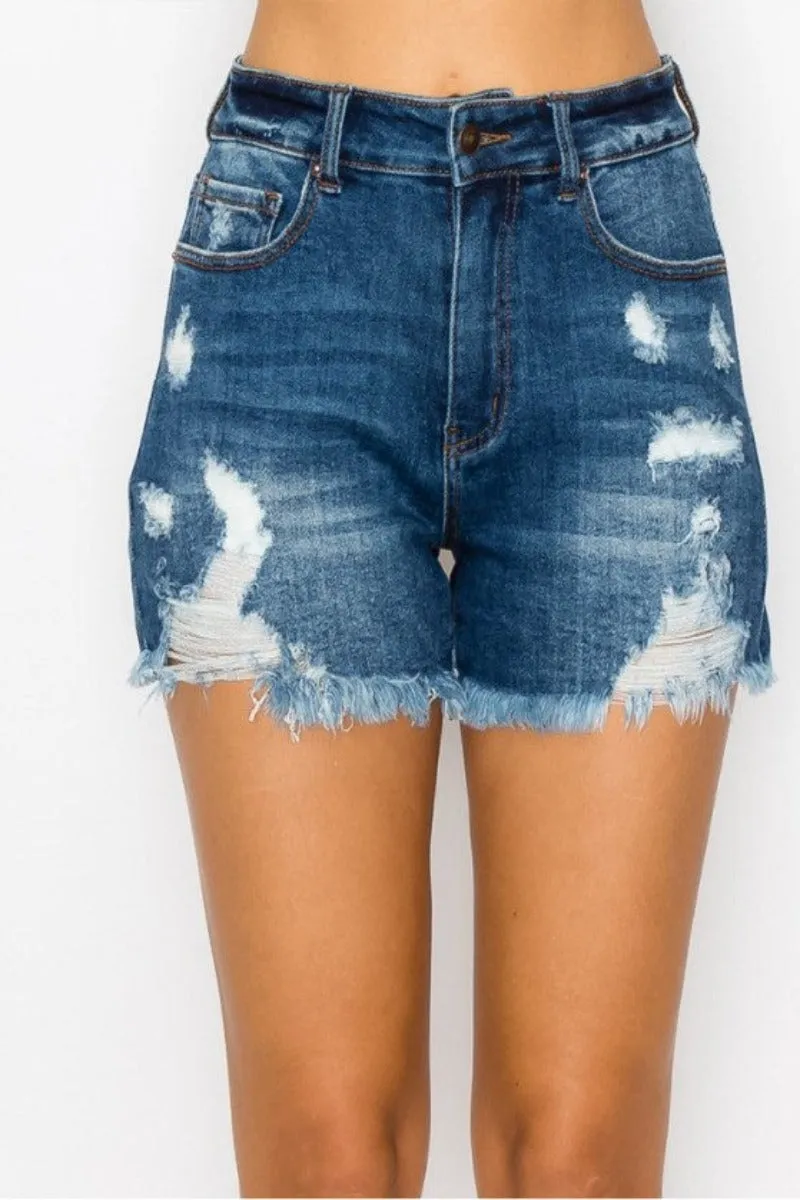 High Rise Frayed Denim Shorts