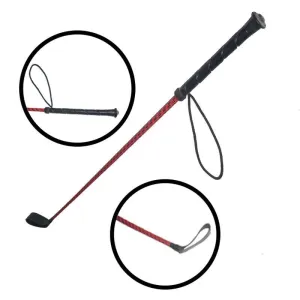 Pet Training & Walking Stick